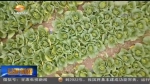 “小土豆”升级“菜小二”（上） - 甘肃省广播电影电视