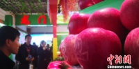 甘肃“灵台苹果”凭口感闯市场：农民因“果”得福 - 甘肃新闻