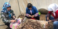 甘肃省贫困地区妇女在当地的“巾帼扶贫车间”就业增收。(资料图) 徐雪 摄 - 甘肃新闻