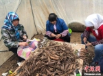 甘肃省贫困地区妇女在当地的“巾帼扶贫车间”就业增收。(资料图) 徐雪 摄 - 甘肃新闻