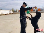 公婆泉边境检查站警犬训导员王鹏飞在训练警犬。　艾庆龙 摄 - 甘肃新闻