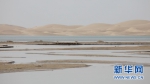 敦煌一干涸约300年的湖泊再漾碧波 - 甘肃省广播电影电视