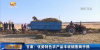 甘肃：优势特色农产品丰收销售两手抓 - 甘肃省广播电影电视