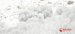 张掖肃南：今冬首雪降落 秋冬风景交融（高清组图） - 中国甘肃网