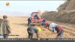 甘肃：培育壮大特色产业 带动农户脱贫致富 - 甘肃省广播电影电视