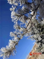 临夏永靖关山出现雾凇宛若童话世界（组图） - 中国甘肃网