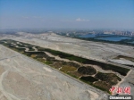图为航拍镜头下的甘肃张掖黑河防护林工程如“绿色长城”。　杨艳敏 摄 - 甘肃新闻