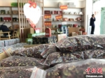 图为宕昌县种植的花椒。(资料图) 闫姣 摄 - 甘肃新闻
