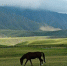 图为张掖市境内的祁连山草原。(资料图) 杨艳敏 摄 - 甘肃新闻
