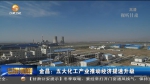 金昌：五大化工产业推动经济提速升级 - 甘肃省广播电影电视