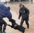 图为刑警支队进行警犬技术实战演练。　崔琳 摄 - 甘肃新闻
