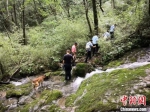 图为甘肃两当县民警在山野中搜救失踪人员。(资料图) 钟欣 摄 - 甘肃新闻