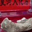 2019年6月，中国科学院院士陈发虎带领的兰州大学环境考古团队在会议上公布，夏河丹尼索瓦人发现地——甘肃省甘南州夏河县白石崖溶洞保存有丰富的旧石器文化遗存，包括大量石器和动物骨骼化石。(资料图) 丁思 摄 - 甘肃新闻