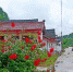 图为整改后的徽县伏家镇硖门村村容村貌，鲜花绿树环绕。(资料图) 贾寒峰 摄 - 甘肃新闻