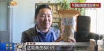 【脱贫攻坚奔小康】网红“当归哥”於军强：网络直播卖药材 - 甘肃省广播电影电视