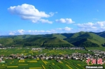 图为甘肃中部乡村岷县盛夏时节田园风景。(资料图) 马万安 摄 - 甘肃新闻