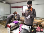 庆阳传统养羊转型"工厂模式":产业脱贫蕴"精气神" - 甘肃新闻