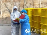 工作人员对医疗废物进行登记。（马莉苇 摄） - 人民网