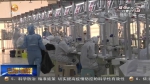 【短视频】平凉临夏一批医用物资生产线运行生产 - 甘肃省广播电影电视