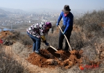 甘肃渭源：抓防疫忙春植（组图） - 中国甘肃网