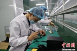 图为工人们在电子测温枪生产线上进行安装作业。　刘枫 摄 - 甘肃新闻