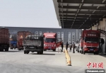 图为甘肃大北农公司厂区内运输产品的货车排队等待装车。受访者供图 - 甘肃新闻