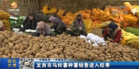 【短视频】定西市马铃薯种薯销售进入旺季 - 甘肃省广播电影电视