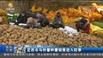 【短视频】定西市马铃薯种薯销售进入旺季 - 甘肃省广播电影电视