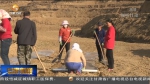 【短视频】天水：抢抓农时高质量推进果树建园 - 甘肃省广播电影电视