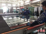 图为白银市白银区一家钢化玻璃厂车间内切割生产线工作。　张婧 摄 - 甘肃新闻