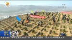 【短视频】种植绿色希望 共筑生态文明 - 甘肃省广播电影电视