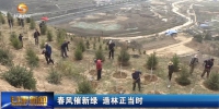 【短视频】春风催新绿 造林正当时 - 甘肃省广播电影电视