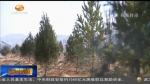 【短视频】林铎：牢固树立绿水青山就是金山银山的理念 为全面建成小康社会创造良好生态环境 - 甘肃省广播电影电视