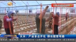 【短视频】天水：产业多点开花 群众脱贫有路 - 甘肃省广播电影电视