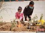 兰州老旧小区凌乱菜园变花园 居民植绿靓城市“里子” - 甘肃新闻