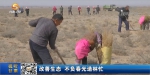 【短视频】甘肃：改善生态 不负春光造林忙 - 甘肃省广播电影电视