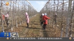 【短视频】庆阳聚焦发力推动现代丝路寒旱农业发展 - 甘肃省广播电影电视
