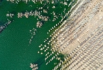 新疆阿勒泰：戈壁滩上育树苗 中水回用助力绿化工程 - 中国甘肃网