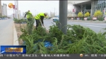 【短视频】植树造林美生态 建设绿色好家园 - 甘肃省广播电影电视