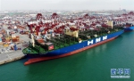 （经济）（1）世界最大集装箱船首航青岛港 - 人民网