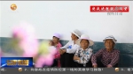 【短视频】酒泉：15万移民搬进来 稳得住 能致富 - 甘肃省广播电影电视