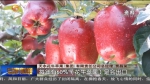 【短视频】天水：“水肥一体化”让农业增效农民增收 - 甘肃省广播电影电视