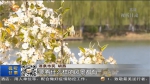 【短视频】“五一”假期不扎堆 就近游玩赏美景 - 甘肃省广播电影电视