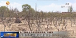 【短视频】甘肃：46.14万亩野岭荒山“披绿装” - 甘肃省广播电影电视
