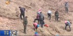 【短视频】甘肃：46.14万亩野岭荒山“披绿装” - 甘肃省广播电影电视