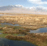 图为5月初，盐池湾湿地。　额尔登曲龙 摄 - 甘肃新闻