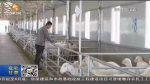【短视频】甘肃：科技特派员为“三农”发展注入科技力量 - 甘肃省广播电影电视