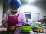 图为5月上旬，甘肃榆中的工人对高原夏菜根据品相进行分类。　史静静 摄 - 甘肃新闻