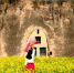 图为镇原县一院废弃窑洞，成为市民踏春赏花拍照的“背景图”。(资料图) 盘小美 摄 - 甘肃新闻