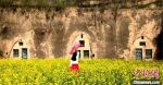 图为镇原县一院废弃窑洞，成为市民踏春赏花拍照的“背景图”。(资料图) 盘小美 摄 - 甘肃新闻